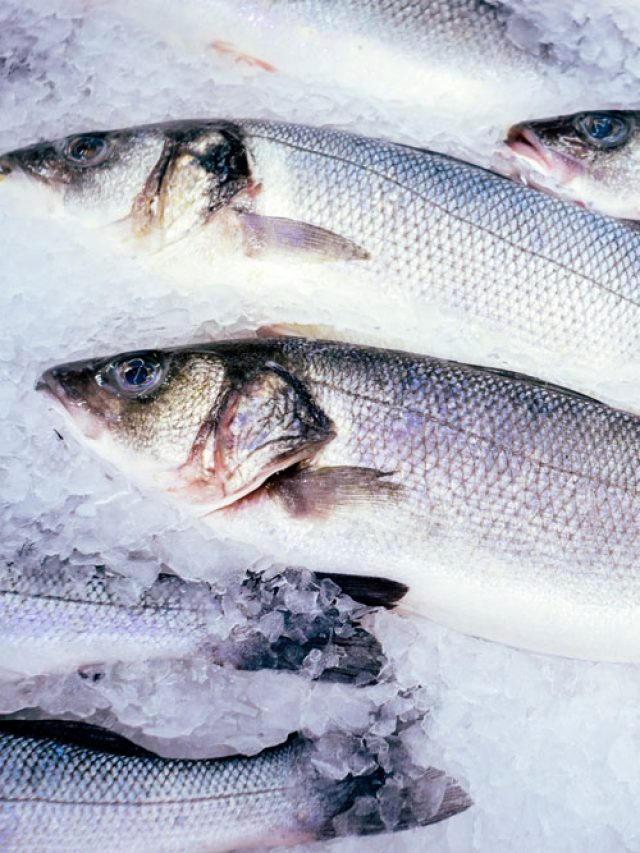 Cómo prevenir la histamina en el pescado